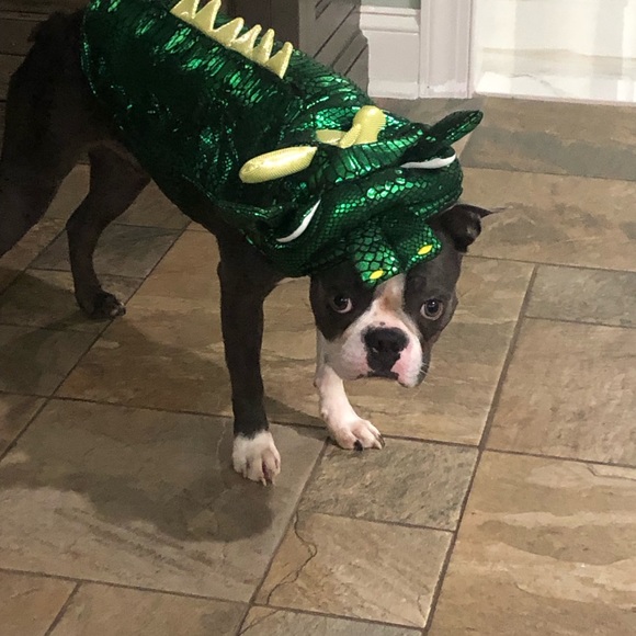 Meet your Posher, Elizabeth - Picture 1 of 1